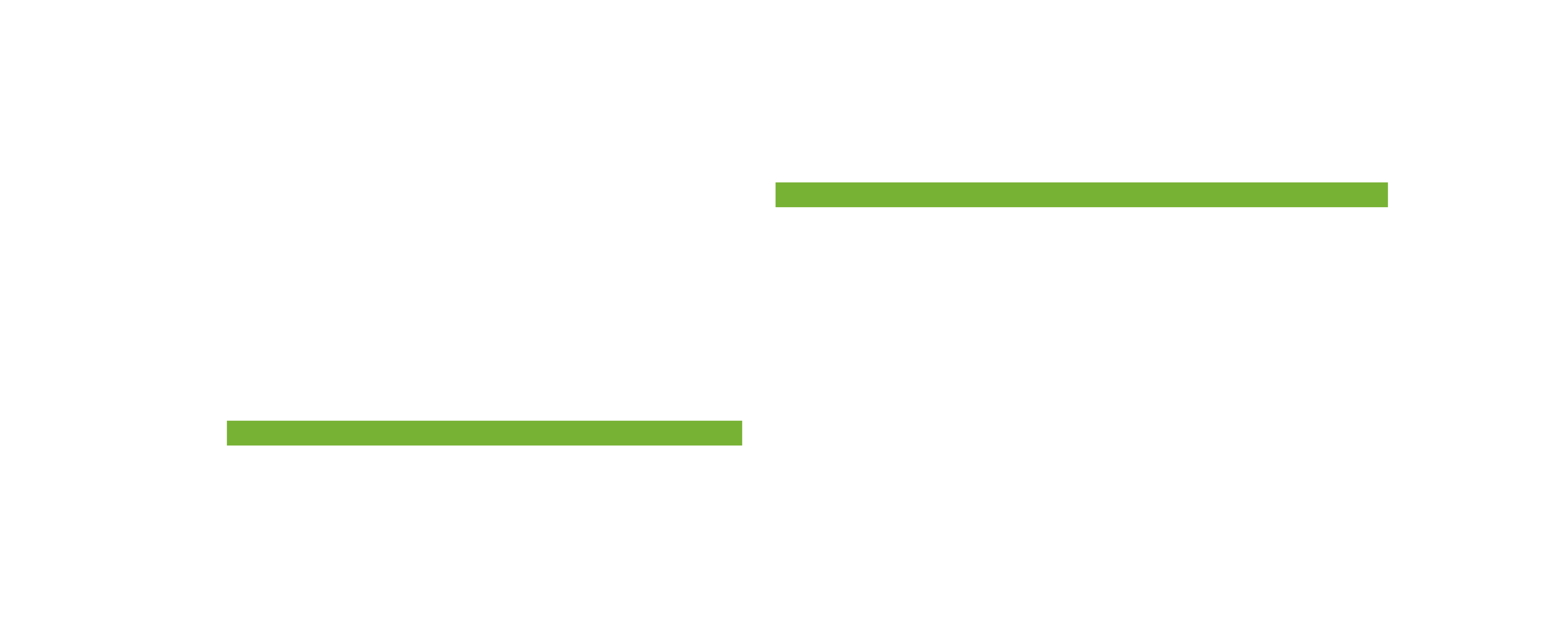 Vivid Brief